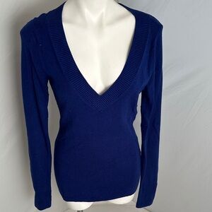 Express blue wide band v-neckline fitted sweater